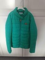 Mooie warme, groene winterjas van Cars Jeans. Maat 14 jaar., Kinderen en Baby's, Meisje, Ophalen of Verzenden, Zo goed als nieuw