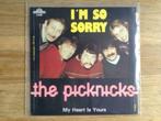 single the picknicks, Cd's en Dvd's, Ophalen of Verzenden, 7 inch, Rock en Metal, Single