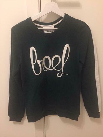 Sweater Colourful Rebel Maat XS Boef Donkergroen, Colourful Rebel, Ophalen of Verzenden, Zo goed als nieuw, Maat 34 (XS) of kleiner