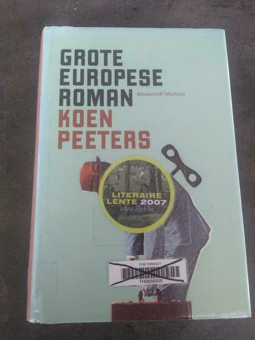 Grote Europese roman, Boeken, Romans, Gelezen, Ophalen of Verzenden