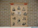 Vintage oude schoolplaat 2de oostenrijkse tijdvak   1713-179, Livres, Livres d'étude & Cours, Utilisé, Enlèvement ou Envoi