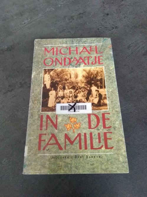 in de familie, Boeken, Romans, Gelezen, Ophalen of Verzenden