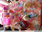 camping car  barbie plus barbies ,ken,accessoires