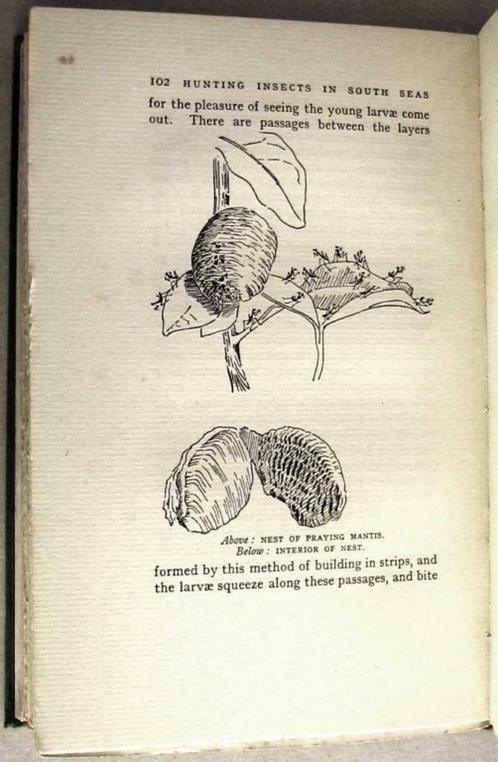 Hunting Insects in the South Seas 1932 Pacific Entomologie, Antiek en Kunst, Antiek | Boeken en Manuscripten, Ophalen of Verzenden