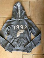 Trui abercrombie and fitch dames maat small, Ophalen of Verzenden