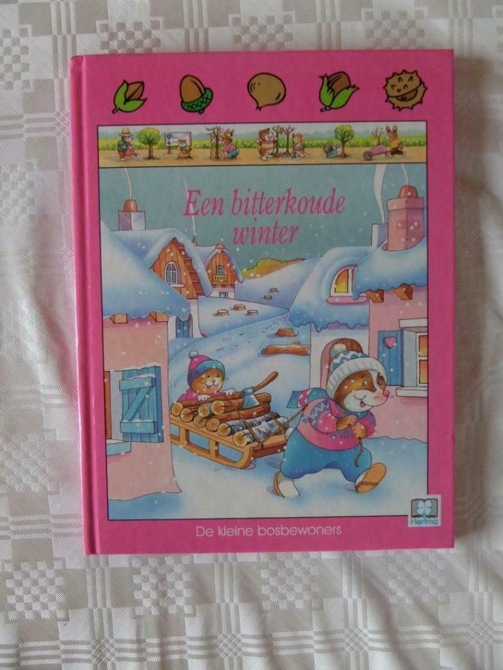 Kinderboek 'Een bitterkoude winter', Boeken, Kinderboeken | Jeugd | onder 10 jaar, Zo goed als nieuw, Fictie algemeen, Ophalen of Verzenden