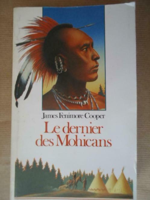 James Fenimore Cooper - Le dernier des Mohicans, Livres, Romans, Utilisé, Enlèvement ou Envoi