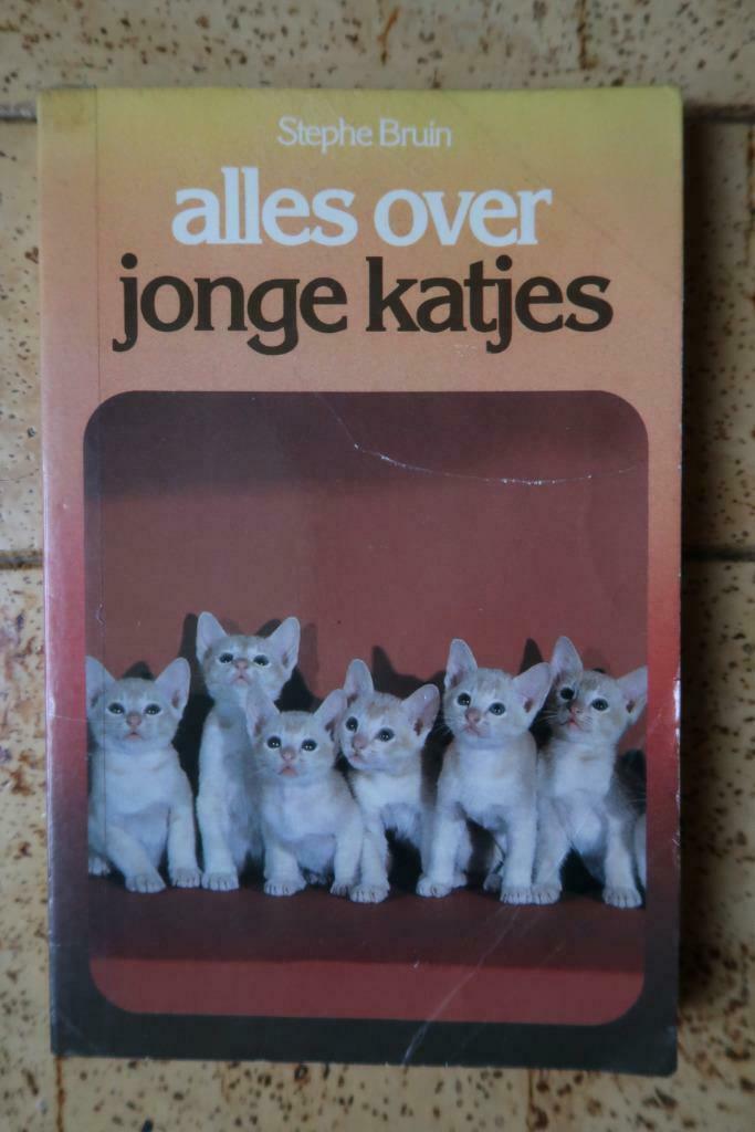 Boek : Alles over jonge katjes – Stephe Bruin, Boeken, Dieren en Huisdieren, Gelezen, Katten, Ophalen of Verzenden