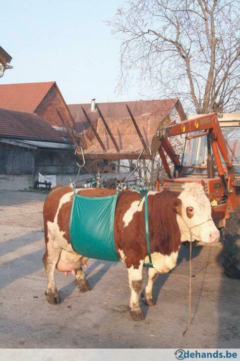 Koelift heftoestel en zijlen, Agrodieren de beste prijs, Zakelijke goederen, Landbouw | Werktuigen, Veehouderij, Overige typen