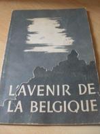 Livre " L'avenir de la Belgique " Hitler - 1939, Steenlandt, Utilisé, Enlèvement ou Envoi, 20e siècle ou après