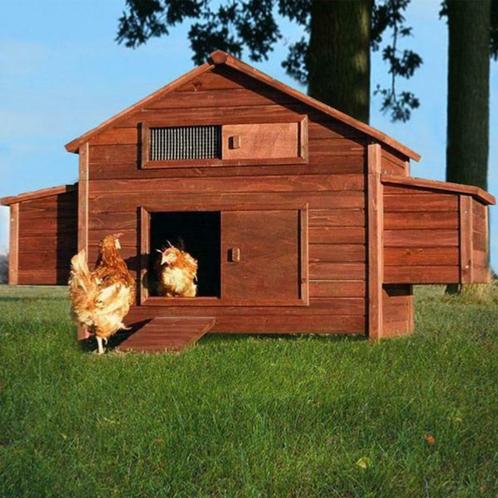 Poulailler GEANT abri poule coq maison poule pondoir poules, Animaux & Accessoires, Volatiles | Accessoires, Neuf, Poulailler