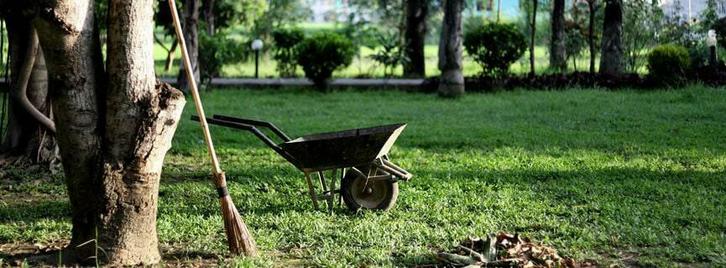 Hovenier tuinman, Tuin en Terras, Overige Tuin en Terras, Ophalen of Verzenden
