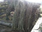 fijn hout - mutsaard - wilgentakken, Doe-het-zelf en Bouw, Hout en Planken, Ophalen, 25 tot 50 mm, Overige typen, Nieuw