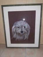 Cadre portrait Bichon, Enlèvement, Utilisé, 50 à 75 cm, 50 à 75 cm