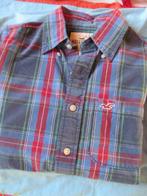 hemden hollister small lange mouw, Kleding | Heren, Overhemden, Overige kleuren, Halswijdte 38 (S) of kleiner, Ophalen of Verzenden