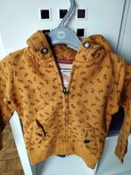 Trui Petrol hoodie vest fiets fietsen mooie warme kleur 104, Ophalen of Verzenden, Gebruikt, Jongen of Meisje, Trui of Vest
