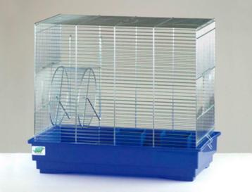 Cage d'écureuil Scoiattolo, Neuf, Hamster, Moins de 60 cm, Cage