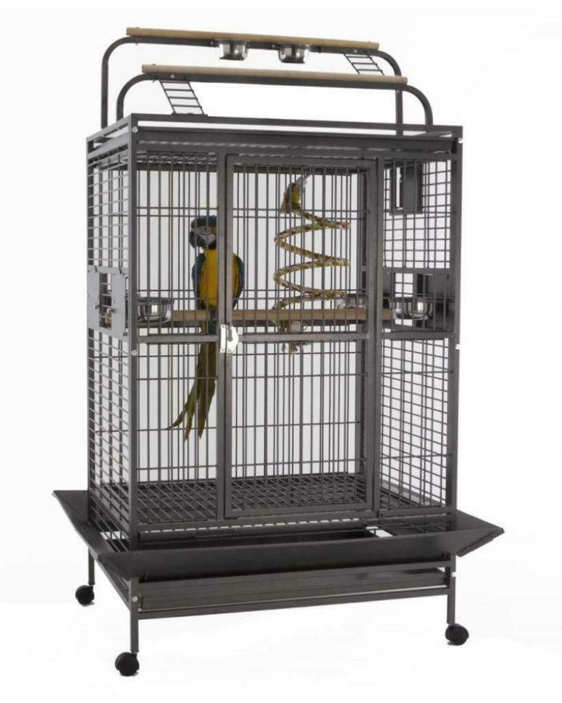 Cage perroquet XXL ara amazone cacatoes cage gris gabon NEUF, Animaux & Accessoires, Oiseaux | Cages & Volières, Neuf, Envoi