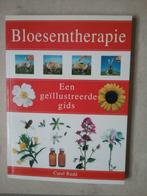 Bloesemtherapie Carol Rudd, Boeken, Ophalen of Verzenden, Zo goed als nieuw, Spiritualiteit algemeen, Achtergrond en Informatie