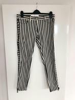 Zwarte/ecru chino broek Elisabetta Franchi - maat 30, Kleding | Dames, Maat 38/40 (M), Wit, Zo goed als nieuw, Driekwart