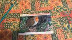 Oiseaux sauvages en Grande-Bretagne Brooke Bond (ZQ), Livres, Livres d'images & Albums d'images, Album d'images, Utilisé, Enlèvement ou Envoi