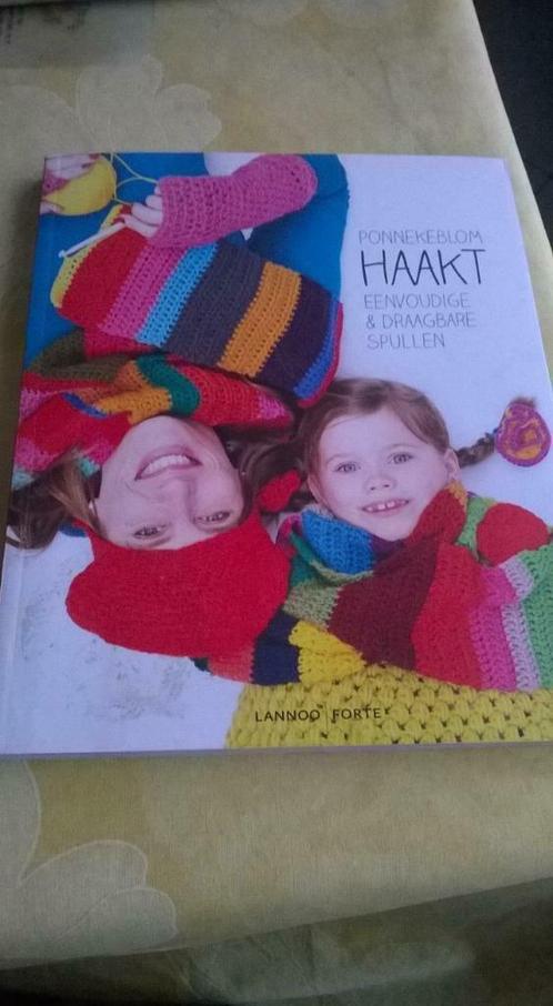 haak boek lannoo eenvoudige en draagbare spullen haken, Hobby en Vrije tijd, Breien en Haken, Gebruikt, Haken, Patroon of Boek