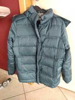 Winterjas dames, Ophalen, Blauw, Maat 42/44 (L), Nieuw
