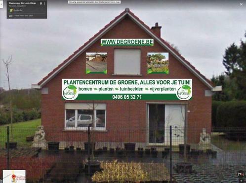 gazon   herstelpotgrond    bigbag  1200 liter, Tuin en Terras, Gras en Kunstgras, Nieuw, Gras, Ophalen