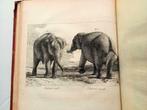 [Olifanten] Houel 1803 Histoire naturelle des deux Éléphants, Enlèvement ou Envoi