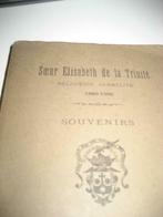 Soeur Elisabeth de la Trinité souvenirs 1880-1906, Enlèvement ou Envoi