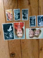 Kwatta vedetten, Verzamelen, Ophalen of Verzenden, Zo goed als nieuw