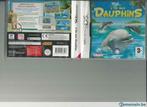 Jeu Nintendo DS - L'île aux dauphins, Consoles de jeu & Jeux vidéo, Utilisé, Enlèvement ou Envoi