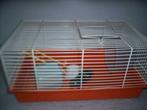 Cage pour hamster 45x30x23cm complète, Enlèvement, Utilisé, Cage, Hamster