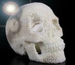 Koraal Schedel Strand Skull Doodshoofd, Verzamelen, Ophalen of Verzenden