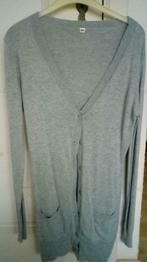 Grijze dames golf, Kleding | Dames, Ophalen of Verzenden, Nieuw, Maat 36 (S), Grijs