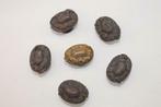 Six poignées (petites) de meuble en bronze ancien, Antiquités & Art, Antiquités | Accessoires de maison, Enlèvement ou Envoi
