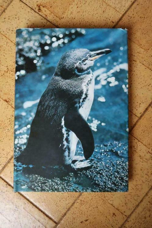 Boek Dieren : Zoo-Galapagos, Livres, Nature, Comme neuf, Nature en général, Enlèvement ou Envoi