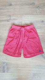 Woody short badstof/spons bordeaux maat 104, Kinderen en Baby's, Jongen, Woody, Gebruikt, Ophalen of Verzenden