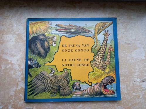 oude prentenboek van 1950 " de fauna van onze Congo ", Boeken, Prentenboeken en Plaatjesalbums, Gelezen, Prentenboek, Ophalen of Verzenden