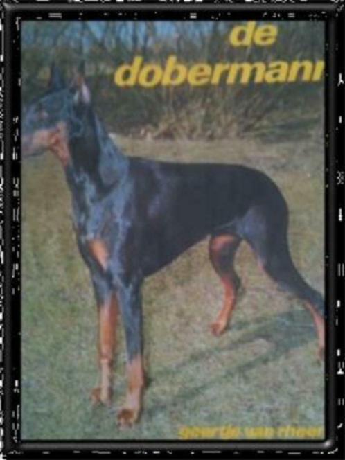 De Dobermann, Geertje Van Rheenen, Livres, Animaux & Animaux domestiques, Utilisé, Chiens, Enlèvement ou Envoi