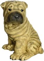 Shar-Pei beeld Design Toscano CF371, Antiek en Kunst, Kunst | Beelden en Houtsnijwerken, Ophalen of Verzenden