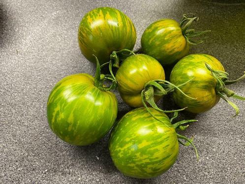 Graines de tomates Green Zebra (BIO), Jardin & Terrasse, Bulbes & Semences