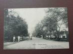 Postkaart Belgisch Congo 1907. Boma Avenue Royale, Verzamelen, Postkaarten | Buitenland, Ophalen of Verzenden