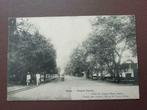 Postkaart Belgisch Congo 1907. Boma Avenue Royale, Ophalen of Verzenden