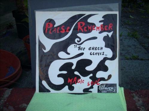 45 t The Green Leaves  'Please Remember', Cd's en Dvd's, Vinyl Singles, Gebruikt, Single, Pop, 7 inch, Ophalen of Verzenden