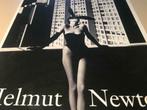 Helmut Newton photographie 110 pages, Comme neuf, Photographes, Enlèvement ou Envoi