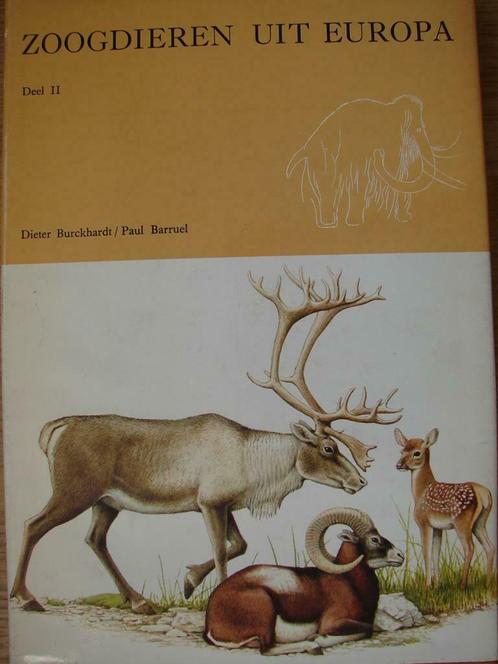 Artis Zoogdieren uit Europa deel 2, Boeken, Prentenboeken en Plaatjesalbums, Zo goed als nieuw, Plaatjesalbum, Ophalen of Verzenden