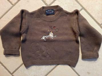Prachtige Pull Tintin 4 jaar (perf staat) als nieuw, Garçon, Enlèvement ou Envoi, Pull ou Veste, Comme neuf
