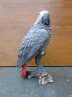 Statue perroquet gris d'occasion  Chapon-Seraing