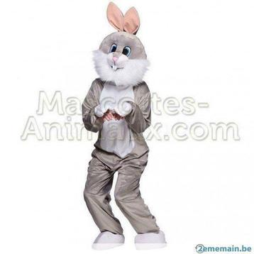 Achat Déguisement Mascotte Lapin gris, Enfants & Bébés, Costumes de carnaval & Déguisements, Neuf, Garçon ou Fille